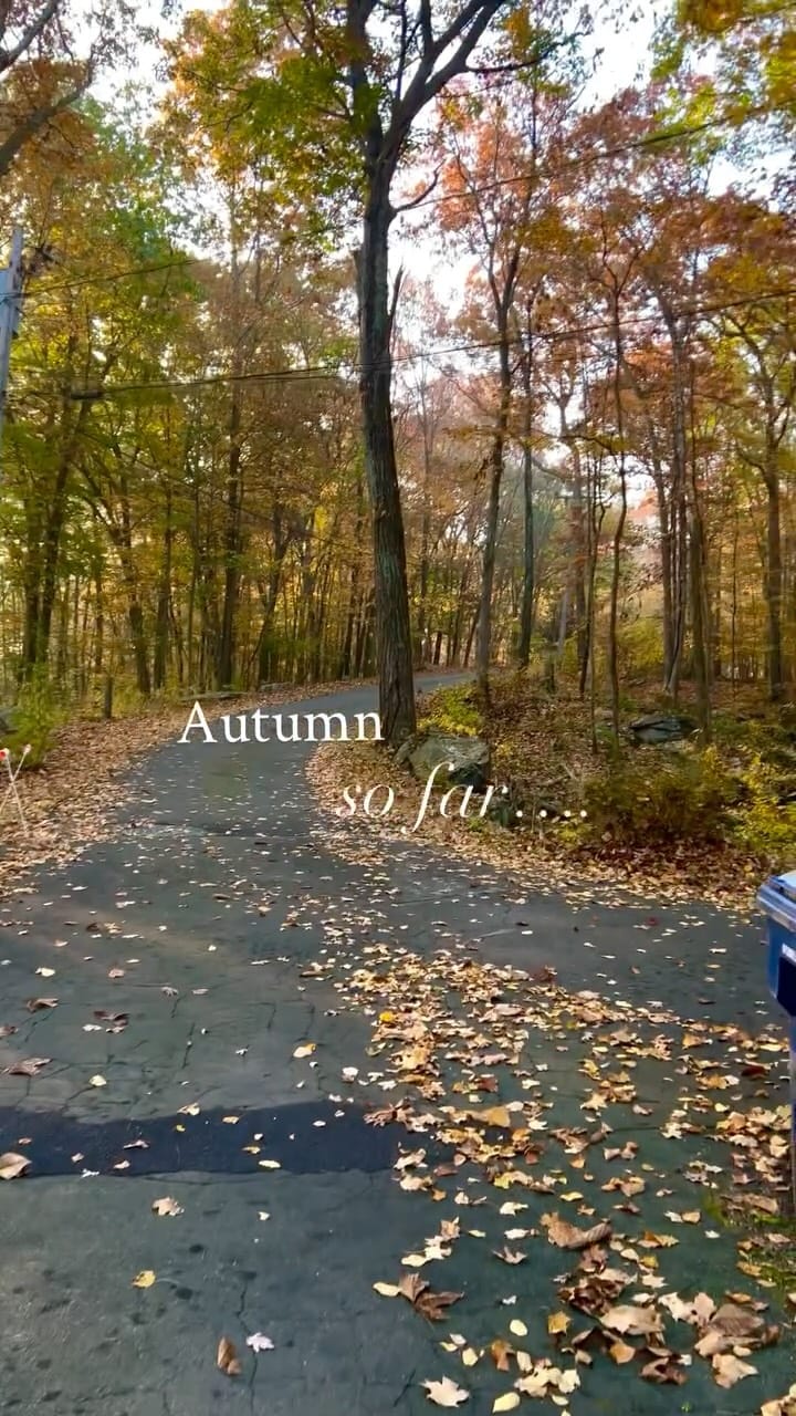 Post 5 by Sarah Natsis on Instagram (video)