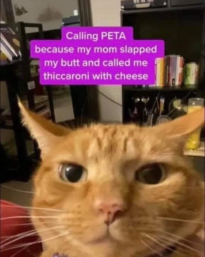 Post 1 by Purfect on Instagram (image)