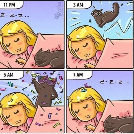 Post 2 by Purfect on Instagram (image)