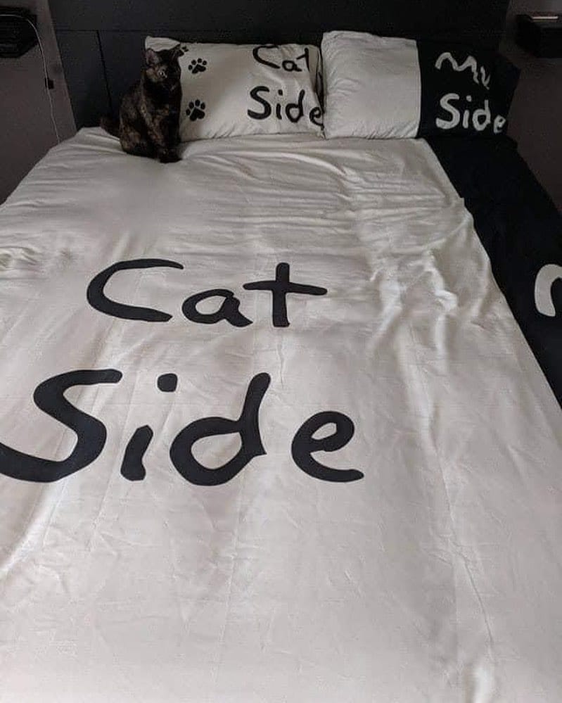 Post 5 by Purfect on Instagram (image)