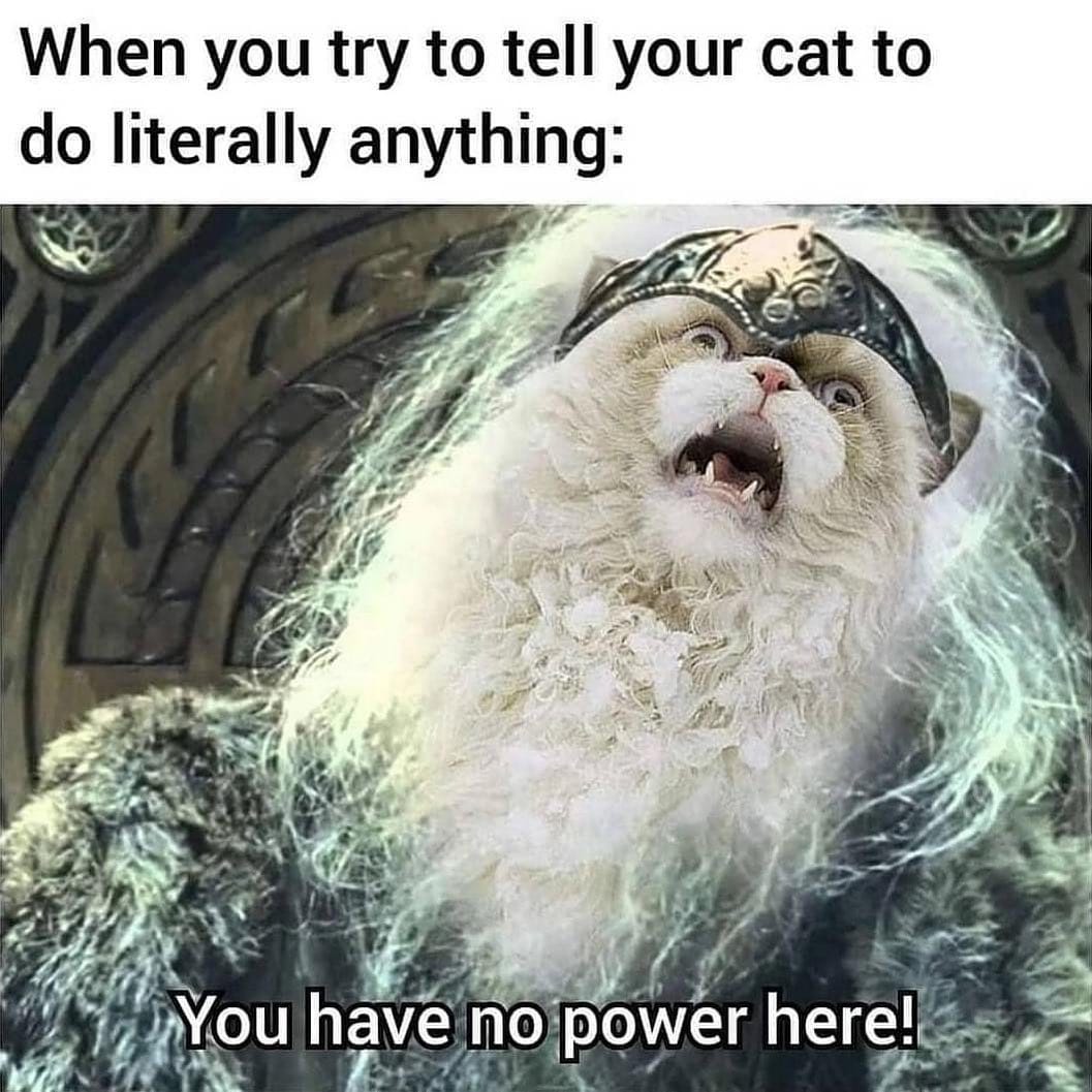 Post 9 by Purfect on Instagram (image)