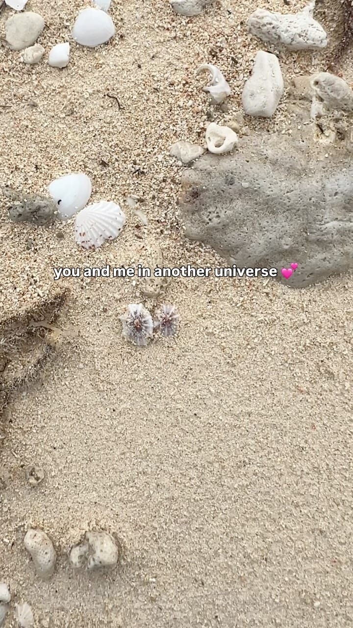 Post 1 by FLOTSAM & CO. 🌊🐚🧜‍♀️ on Instagram (video)
