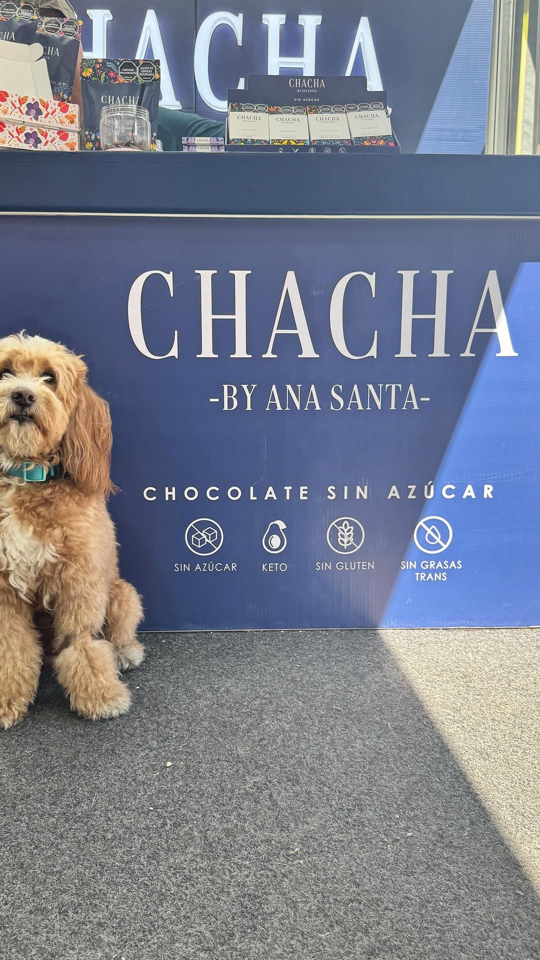 Post 1 by CHACHA | Chocolates sin azúcar on Instagram (video)
