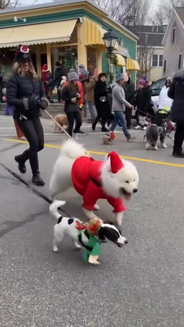 Post 9 by Daytrip Society on Instagram (video)