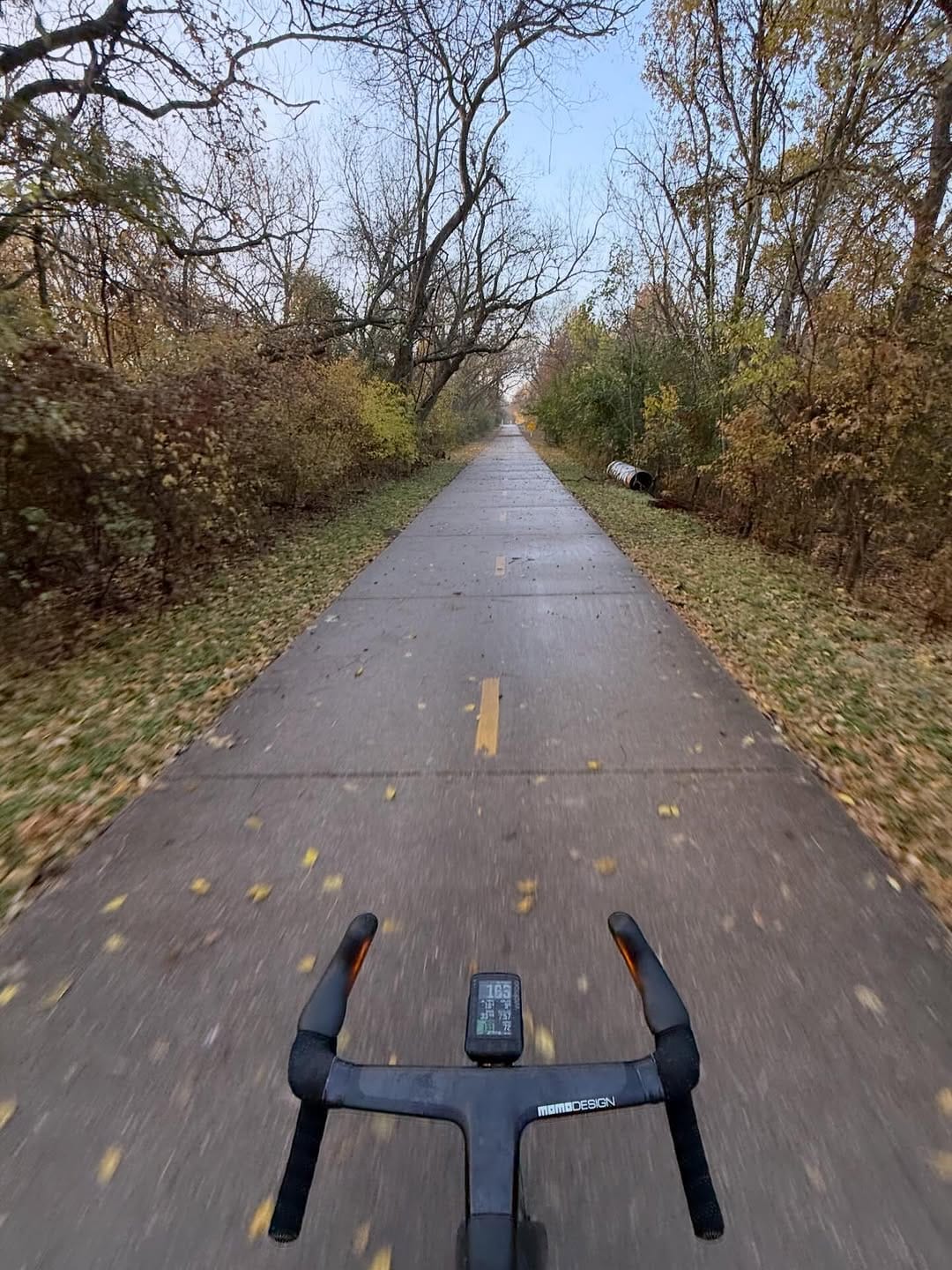 Post 7 by Mellow Johnny's Bike Shop on Instagram (image)
