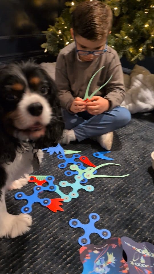 Post 9 by Susan Webster (Heart) on Instagram (video)