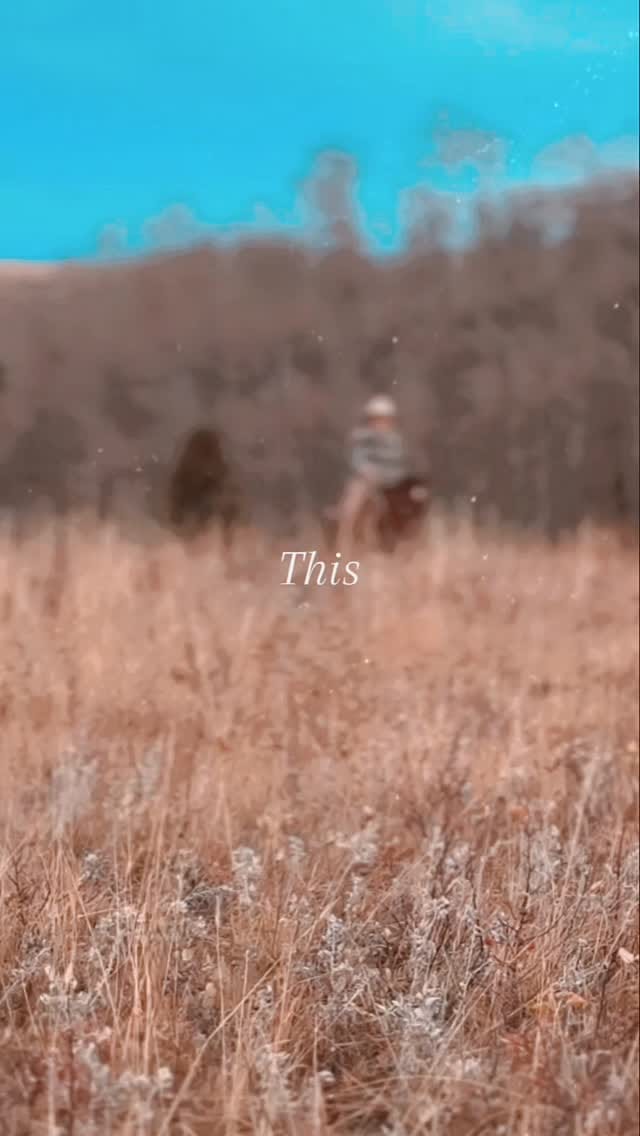 Post 2 by Ranch Hand on Instagram (video)