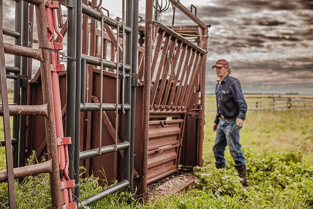 Post 8 by Ranch Hand on Instagram (carousel)