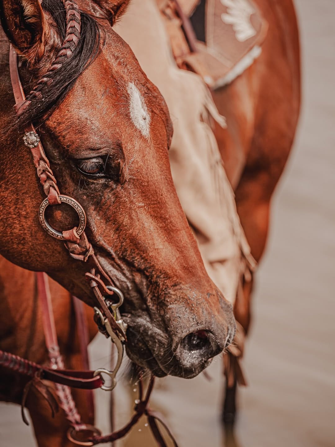 Post 3 by Ranch Hand on Instagram (image)