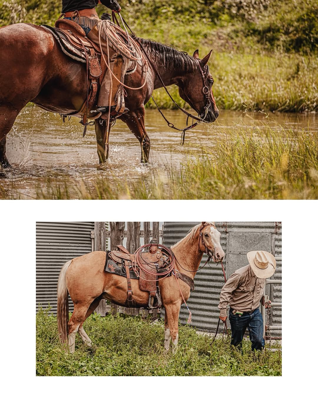 Post 5 by Ranch Hand on Instagram (carousel)