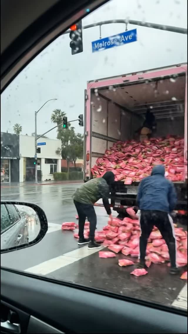 Post 9 by Chili Chews on Instagram (video)