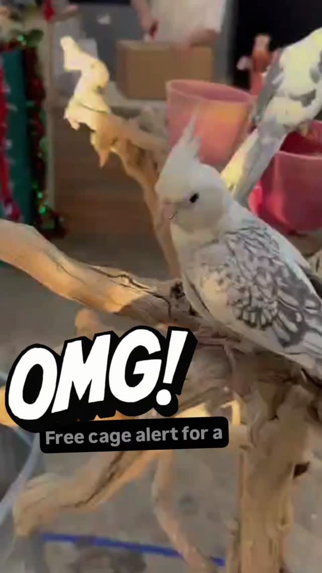 Post 6 by Valley Pet & Supply on Instagram (video)
