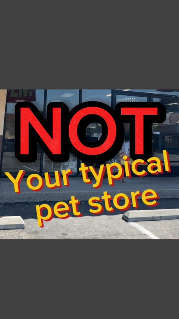 Post 10 by Valley Pet & Supply on Instagram (video)