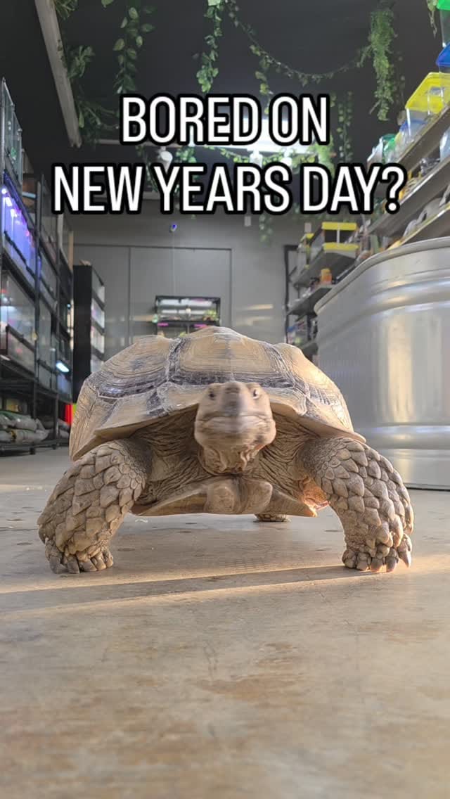 Post 2 by Valley Pet & Supply on Instagram (video)