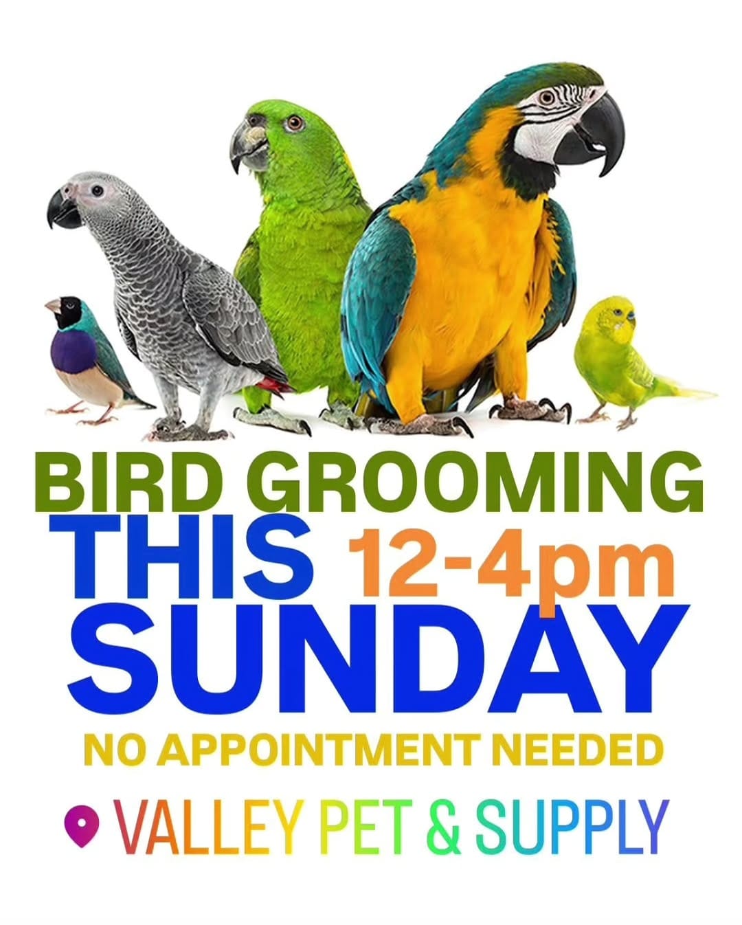 Post 7 by Valley Pet & Supply on Instagram (image)
