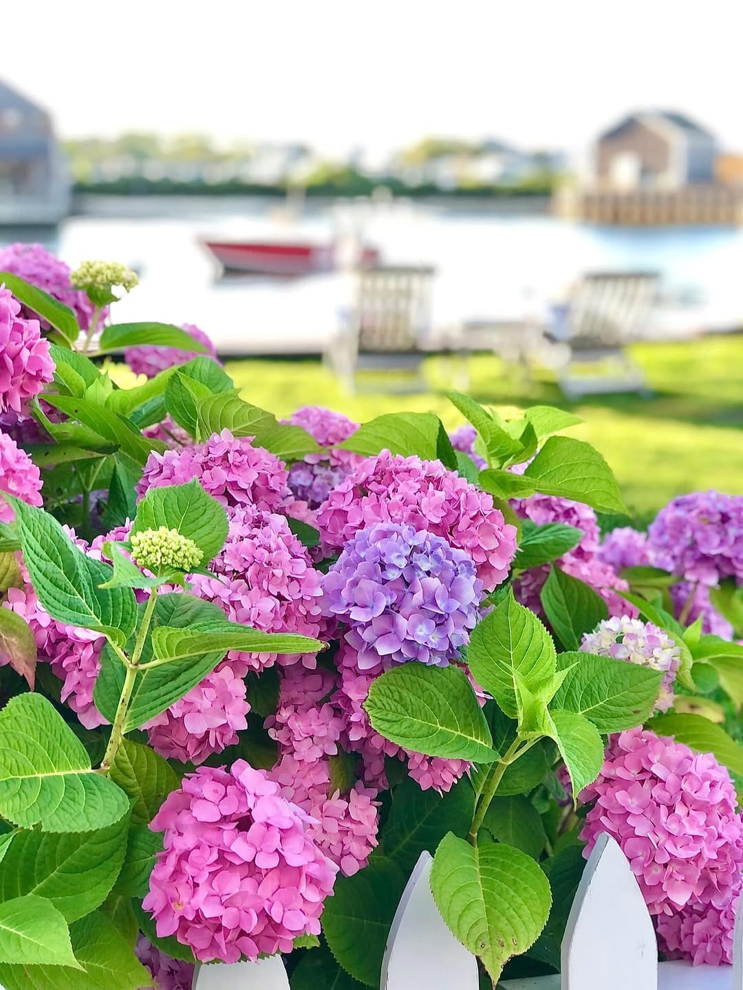 Post 8 by ACK 4170®️Nantucket Brand on Instagram (carousel)
