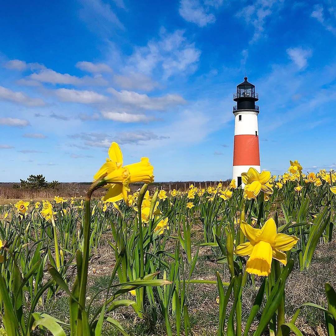 Post 2 by ACK 4170®️Nantucket Brand on Instagram (image)