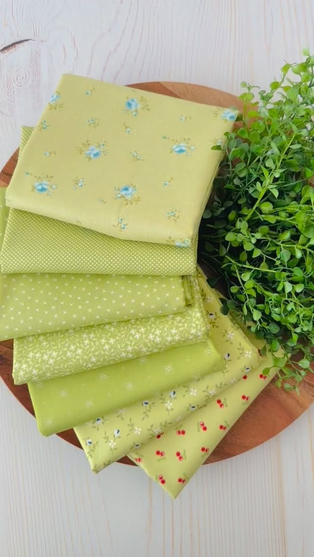 Post 8 by Sweet Daisy Quilt Shoppe on Instagram (video)