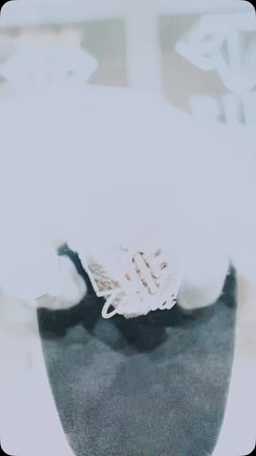 Post 10 by Riic the Jeweler on Instagram (video)