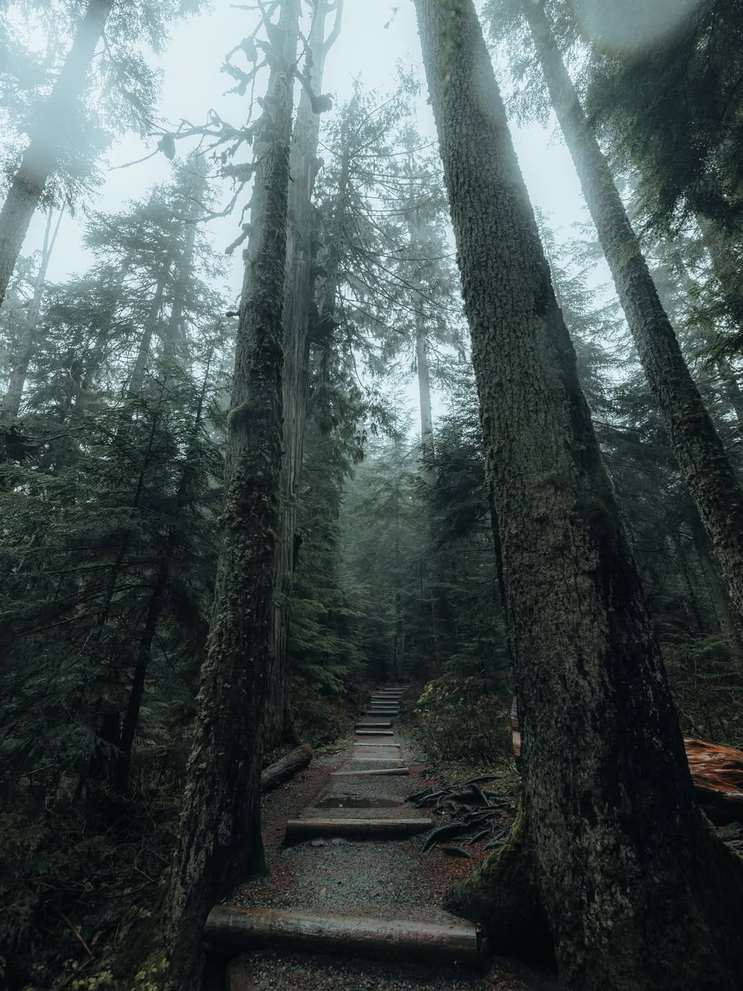 Post 4 by Jason Scottish on Instagram (carousel)