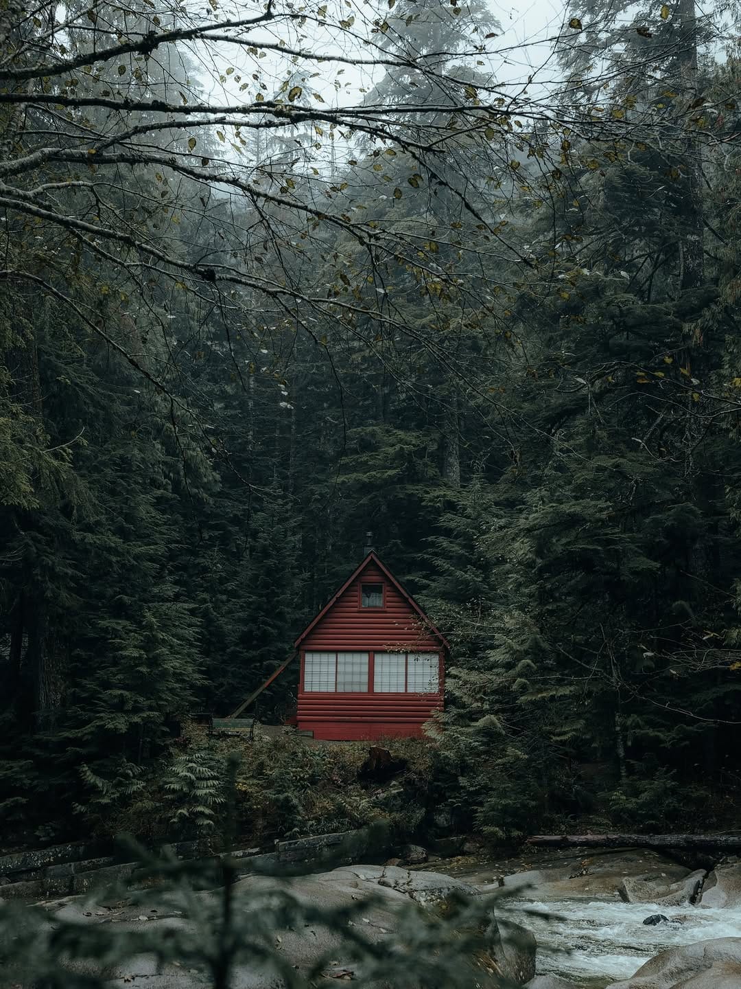 Post 5 by Jason Scottish on Instagram (image)