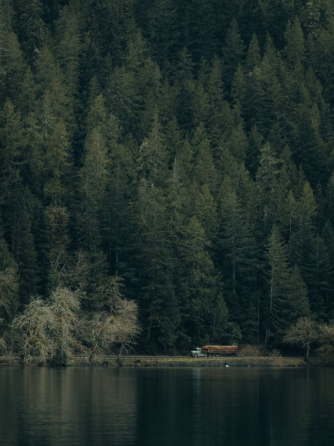 Post 8 by Jason Scottish on Instagram (image)