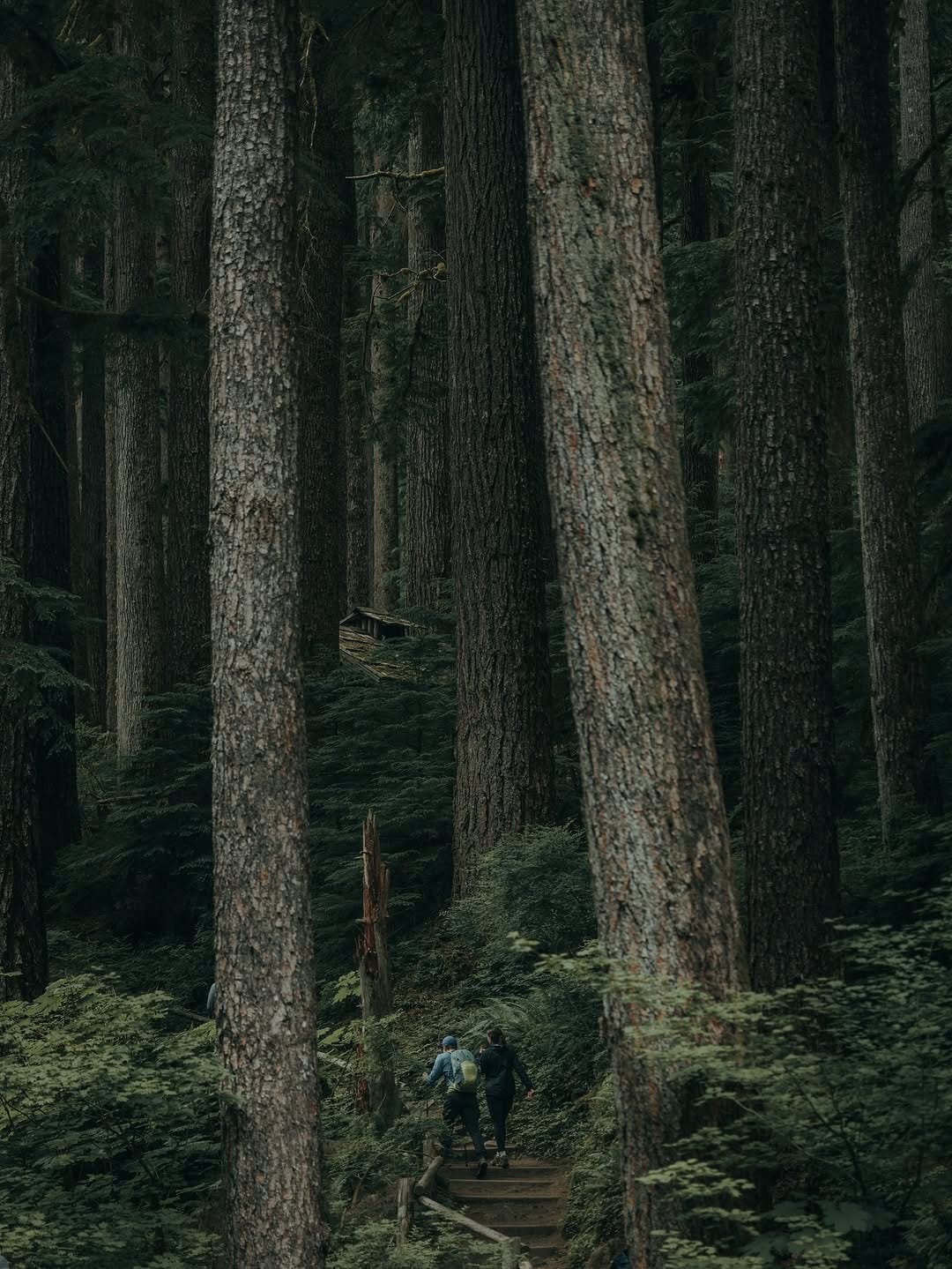 Post 9 by Jason Scottish on Instagram (carousel)