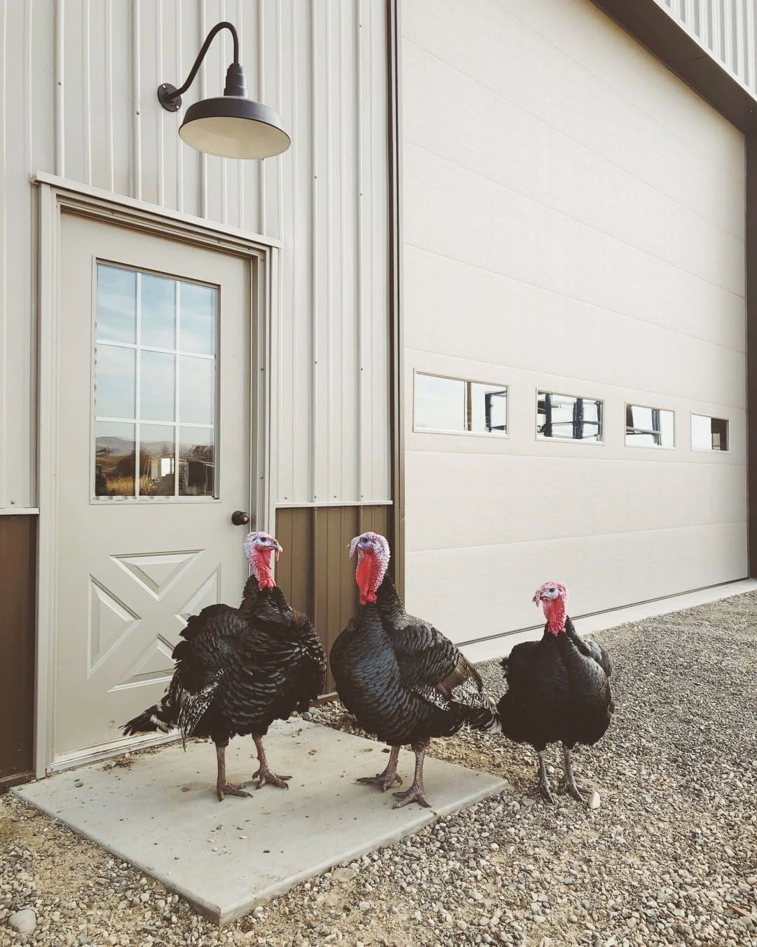 Post 5 by Steel Lighting Co. on Instagram (image)