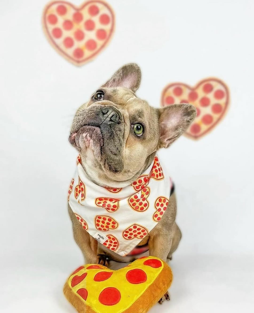 Post 1 by Rustic & Ruff | Dog Accessories on Instagram (image)