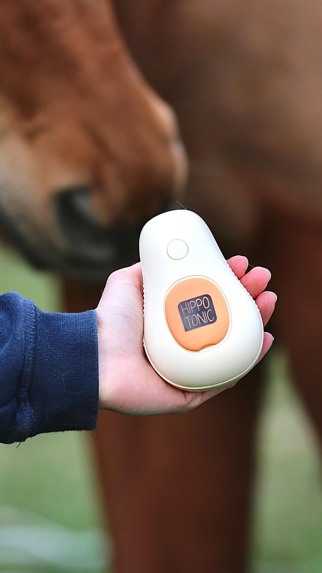 Post 8 by Equi-Clic on Instagram (video)