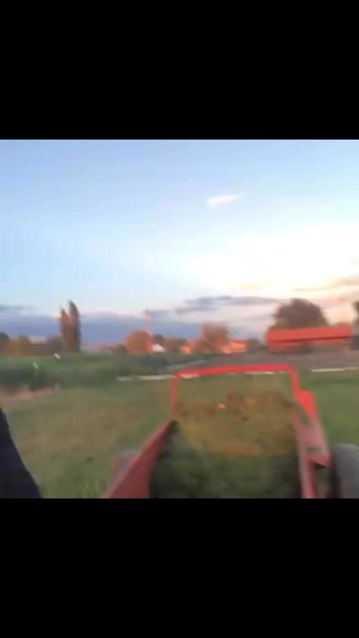 Post 3 by Tammy Edinger on Instagram (video)