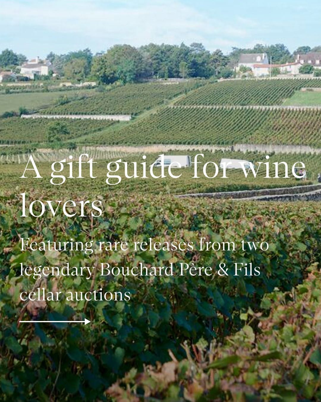 Post 8 by Christie's Wine & Spirits on Instagram (carousel)