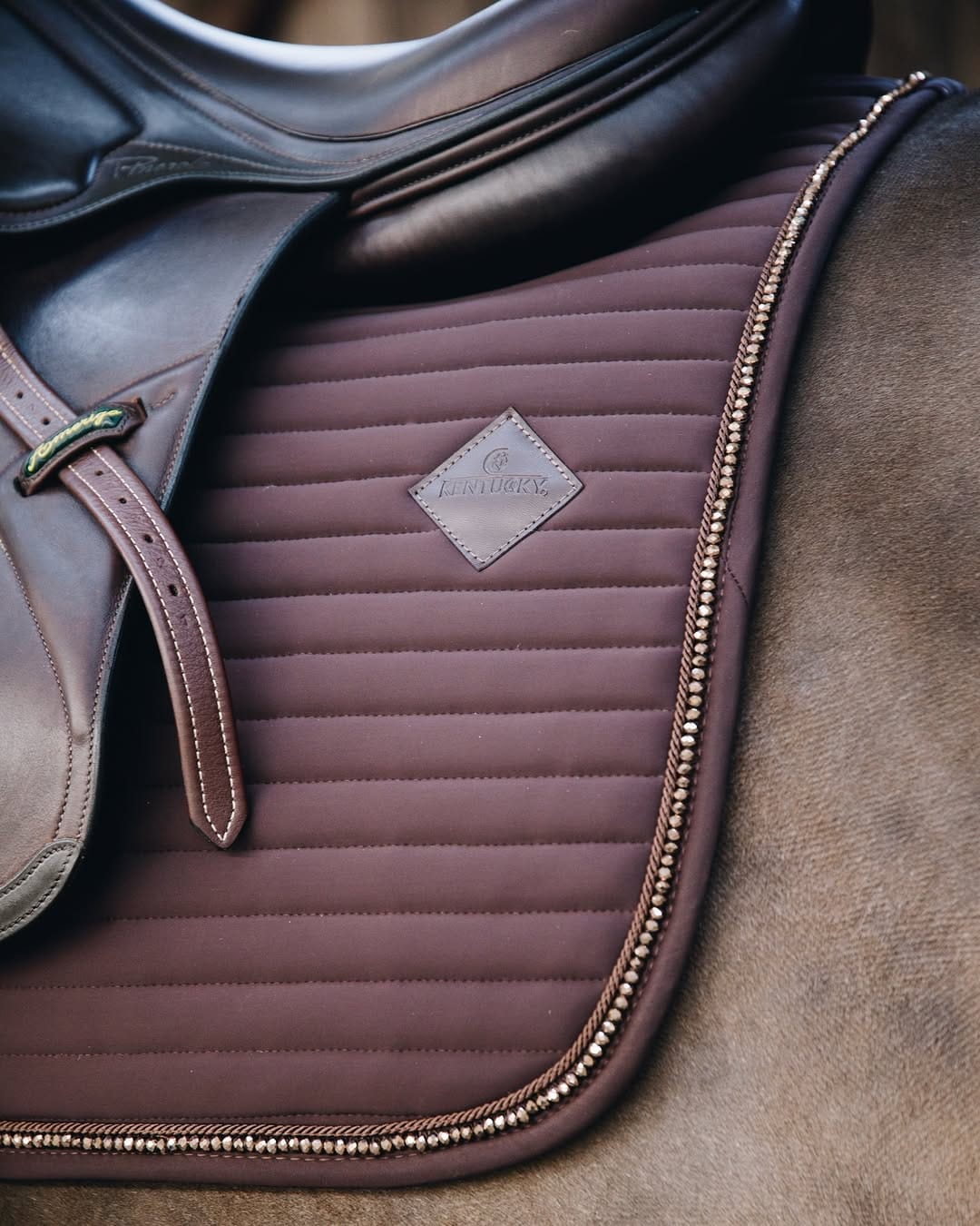 Post 1 by Just Equine Ltd | Equestrian Supplies on Instagram (carousel)