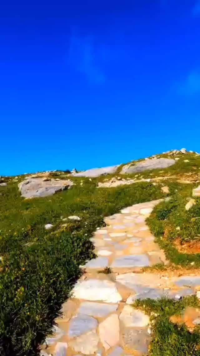 Post 1 by Eleni Pantagis on Instagram (video)