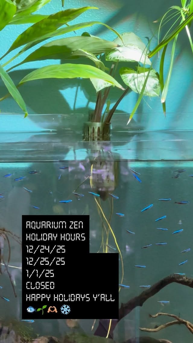 Post 8 by Aquarium Zen, Seattle on Instagram (video)