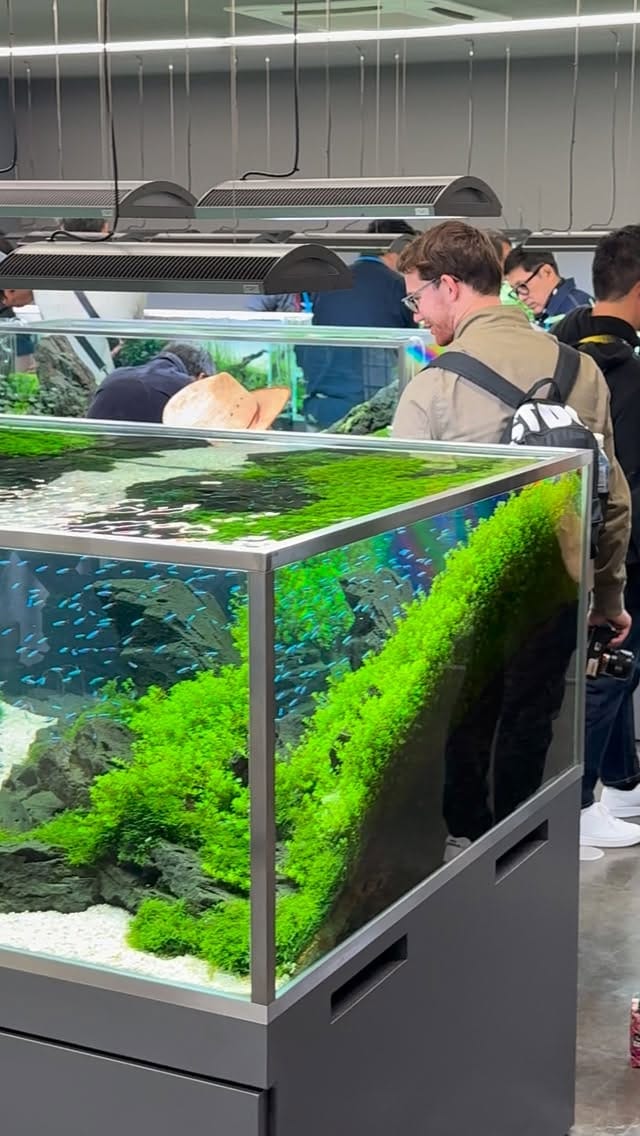 Post 6 by Aquarium Zen, Seattle on Instagram (video)