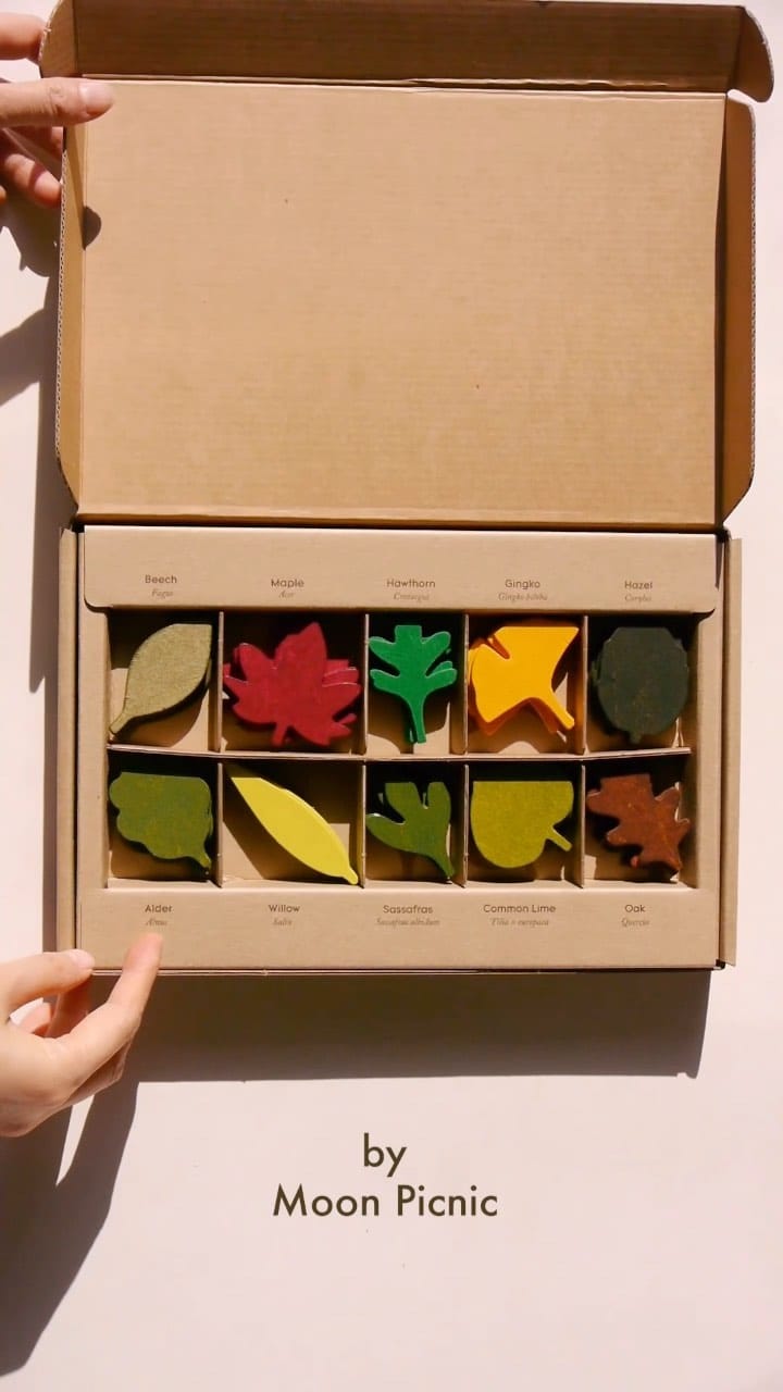Post 4 by MOON PICNIC on Instagram (video)