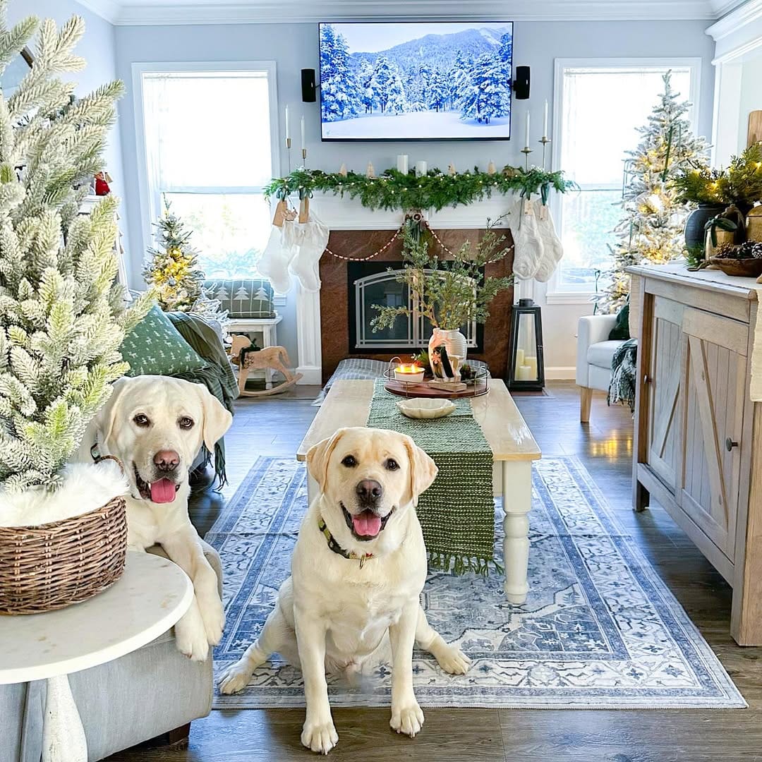 Post 8 by Jennifer - Home and Garden on Instagram (image)