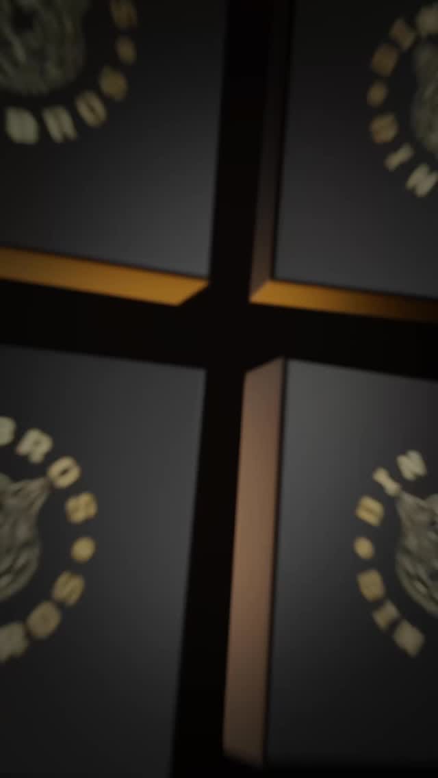 Post 9 by BIN BROS Co.™️ on Instagram (video)