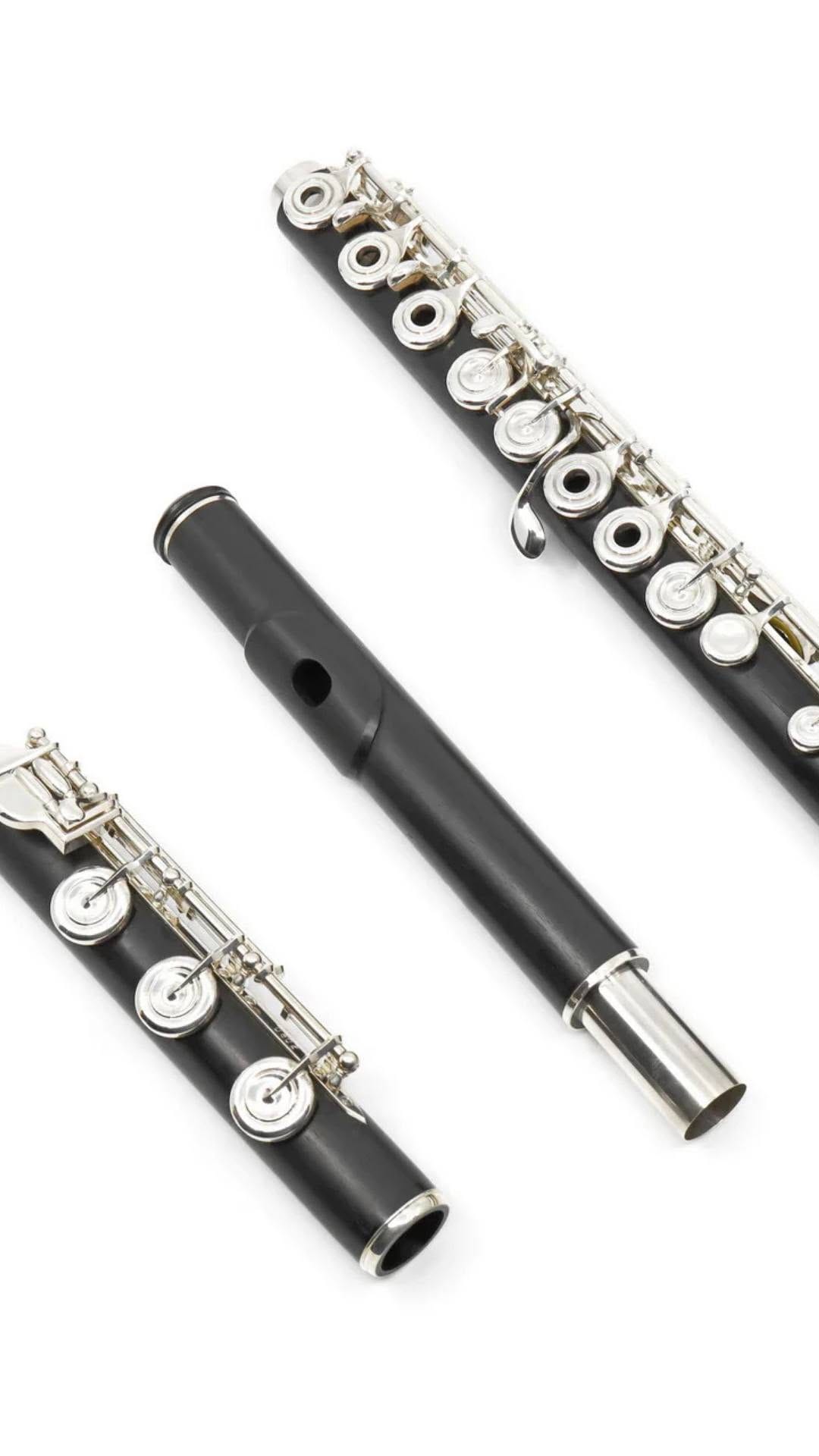 Post 3 by Flute Center on Instagram (video)