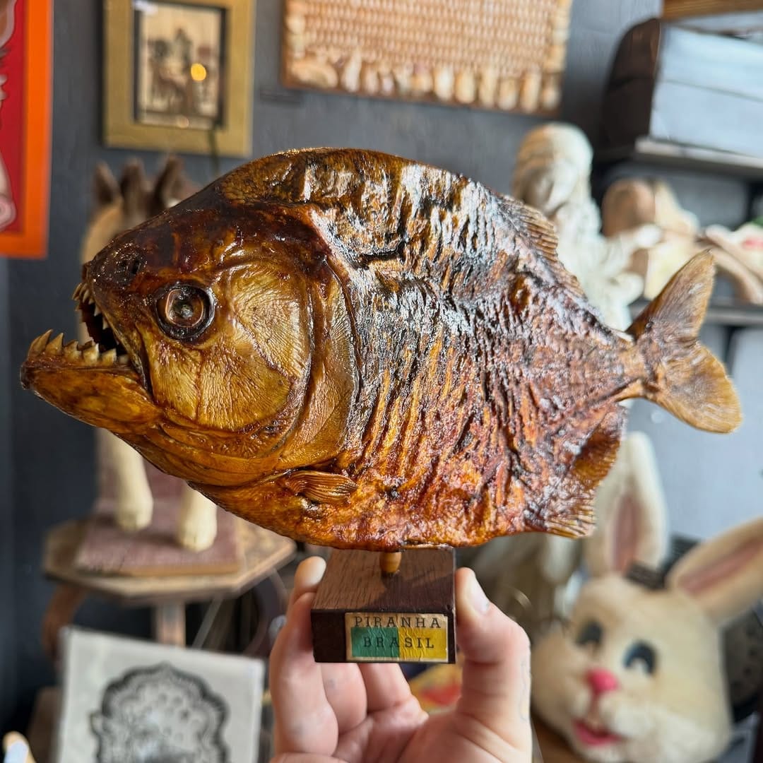 Post 7 by Cleveland Curiosities on Instagram (image)