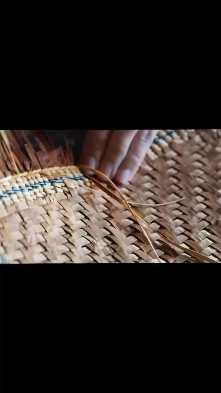 Post 6 by All My Relations on Instagram (video)