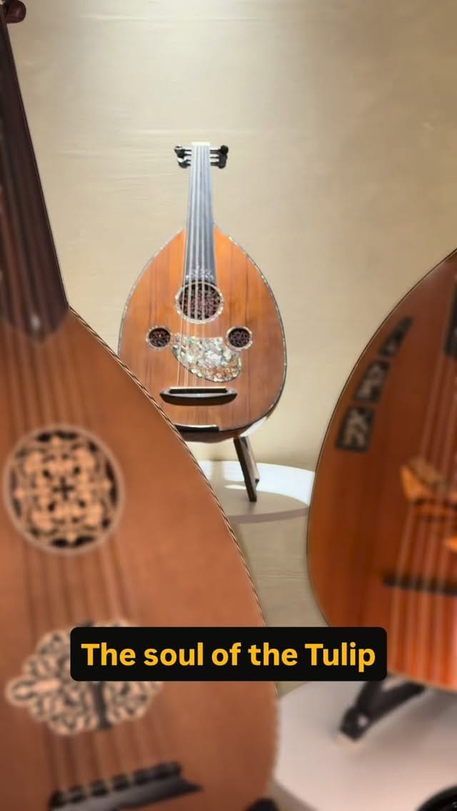 Post 5 by Sala Muzik on Instagram (video)