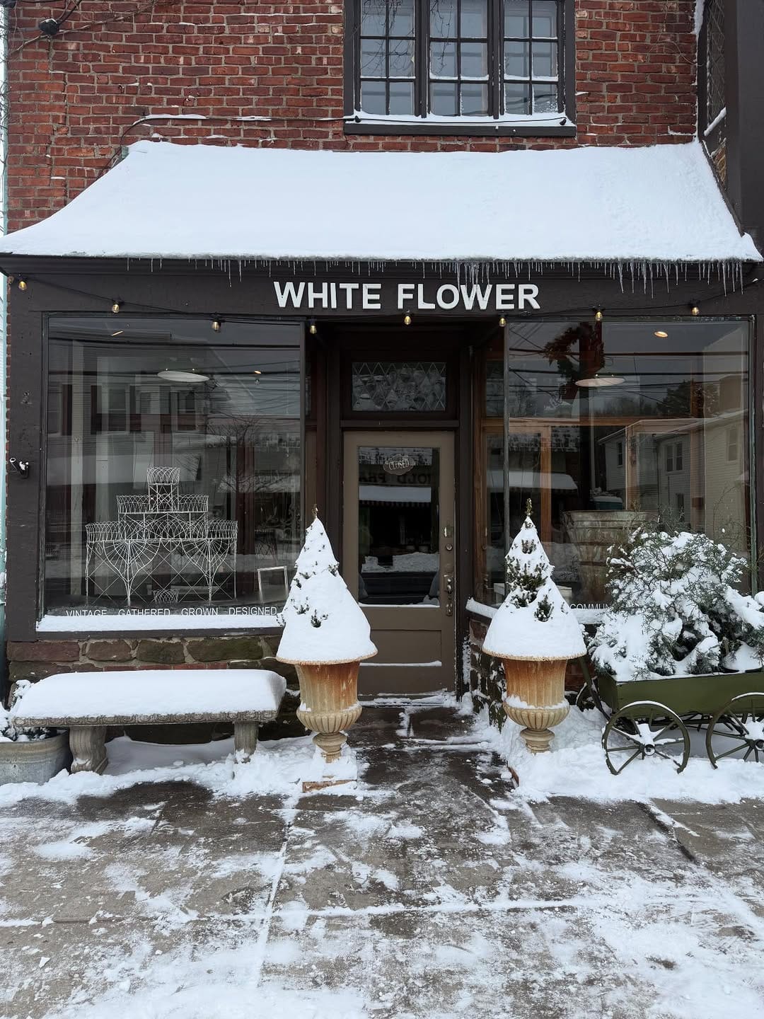 Post 10 by White Flower on Instagram (carousel)