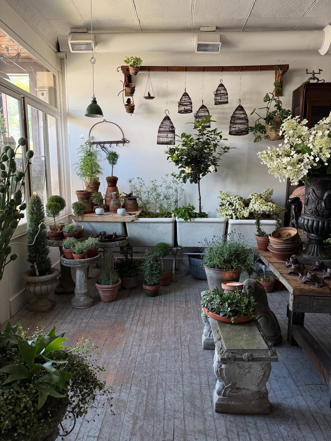 Post 5 by White Flower on Instagram (carousel)