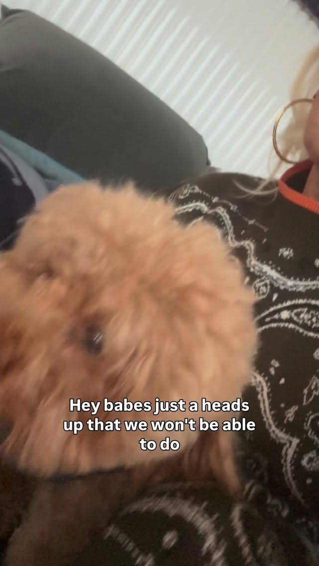 Post 2 by jacquistafford on Instagram (video)