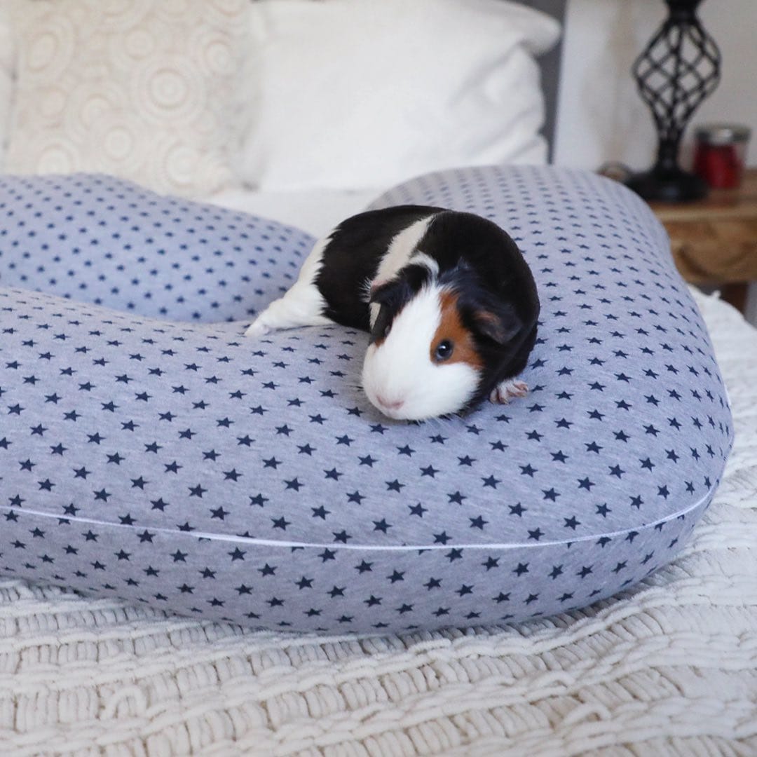 Post 9 by Pregnancy + Full Body Pillows on Instagram (image)