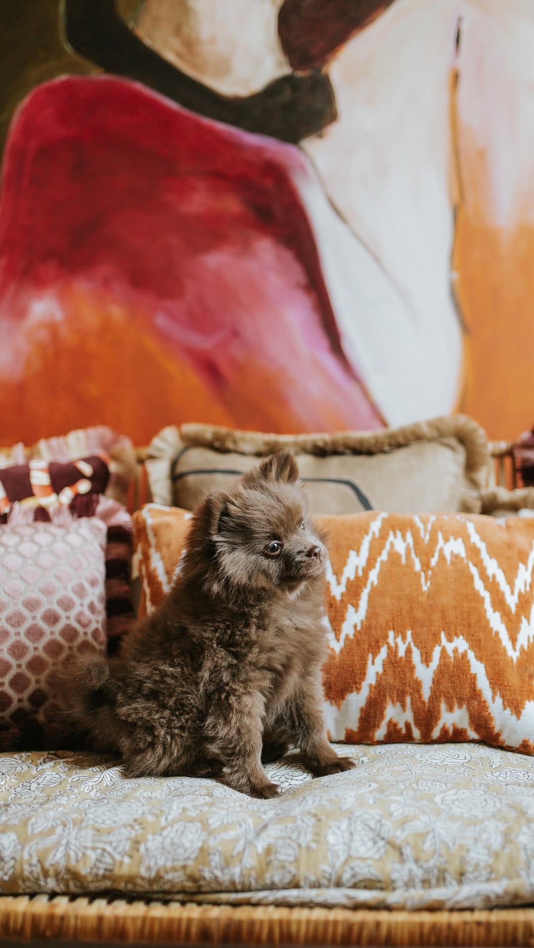 Post 6 by Sophie Dirven Design on Instagram (video)