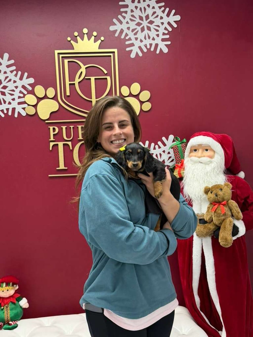 Post 5 by Puppies To Go on Instagram (image)