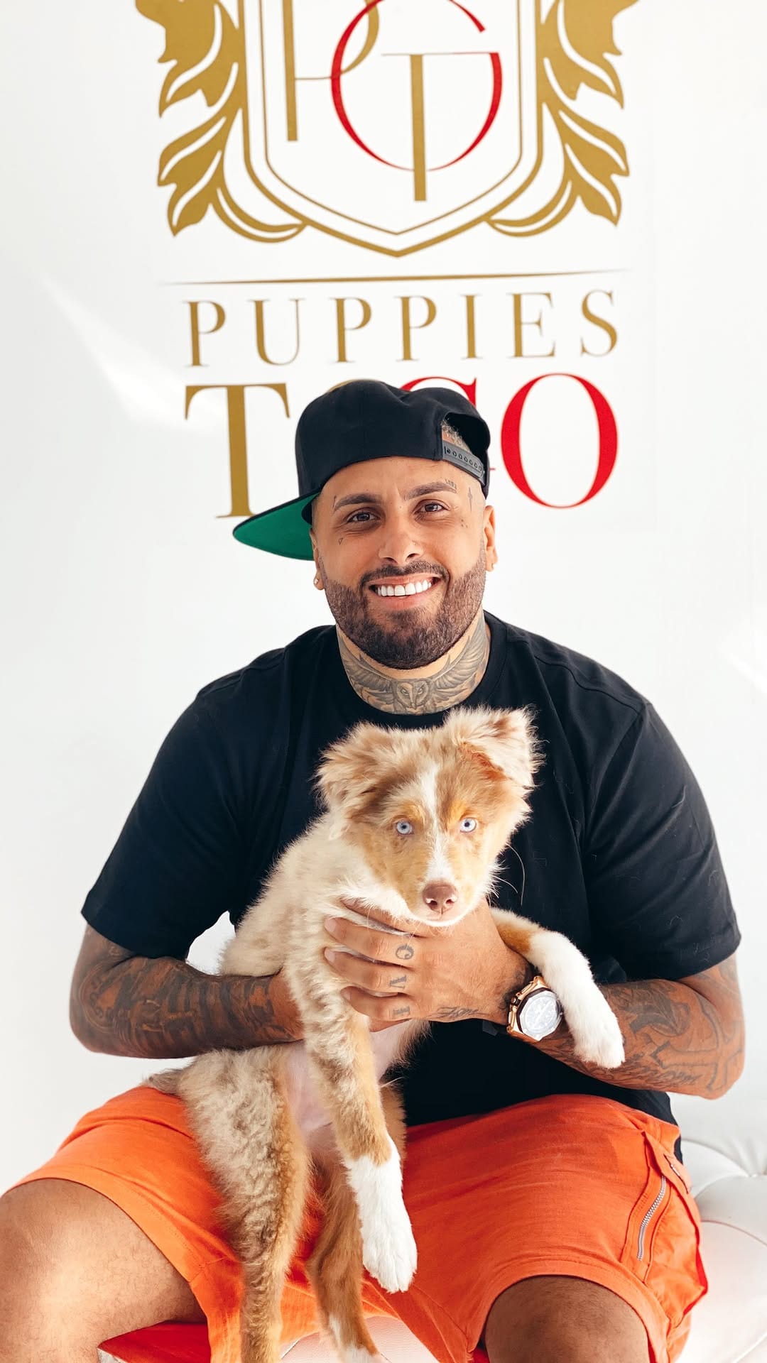 Post 9 by Puppies To Go on Instagram (video)